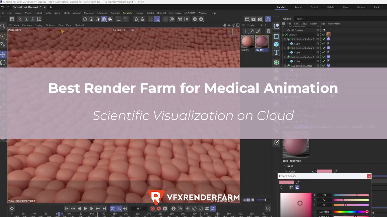 Best Render Farm for Medical Animation: Scientific Visualization on Cloud